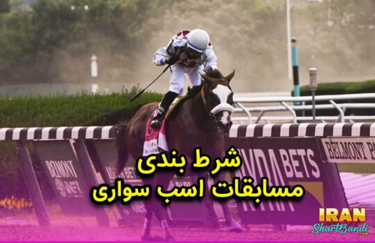 شرط بندی با اسب