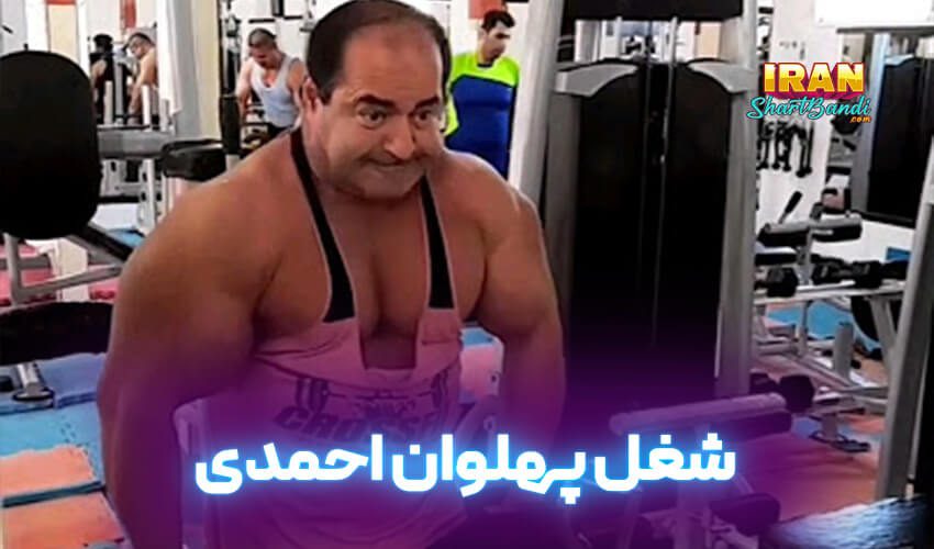 شغل پلهوان احمدی