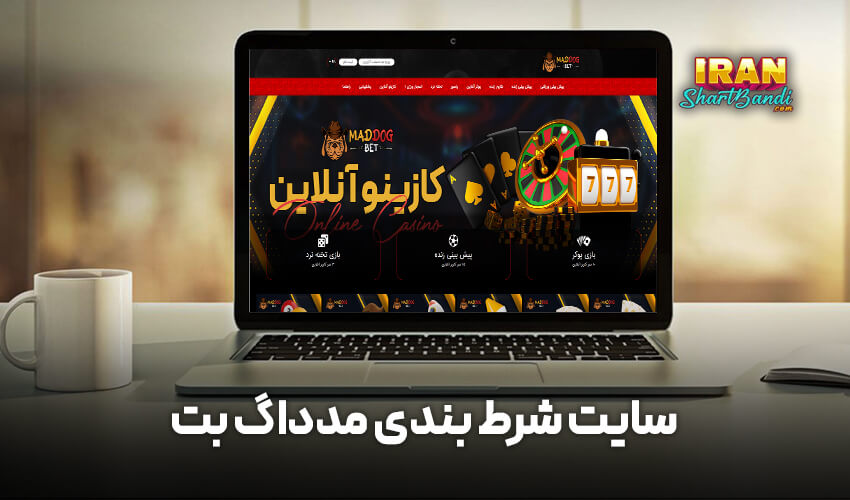سایت شرط بندی مدداگ بت